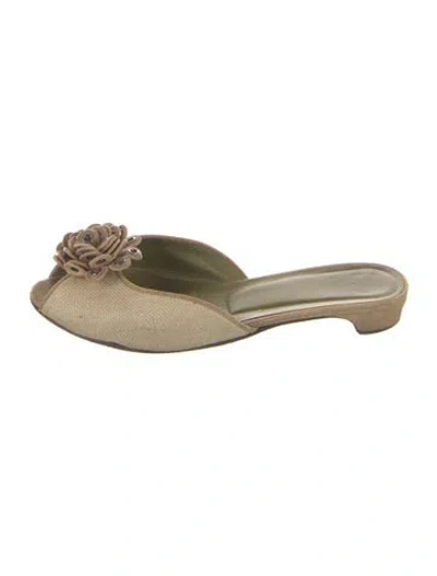 Pre-owned Donald Pliner Mules In Green/neutrals