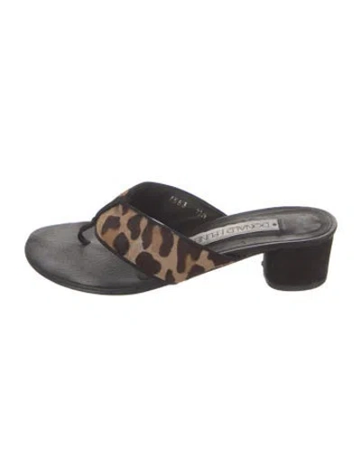 Pre-owned Donald Pliner Ponyhair Animal Print Flip Flops In Multicolor