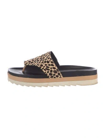 Pre-owned Donald Pliner Ponyhair Animal Print Slides