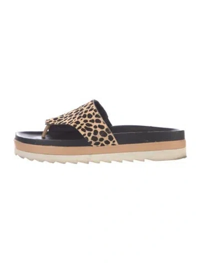 Pre-owned Donald Pliner Ponyhair Animal Print Slides In Black/neutrals