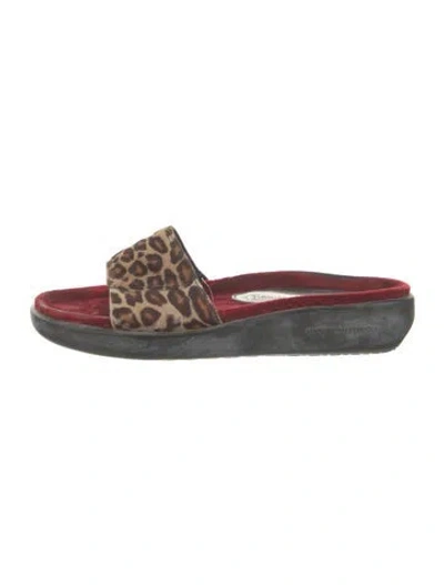 Pre-owned Donald Pliner Ponyhair Animal Print Slides In Multicolor