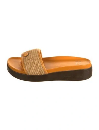 Pre-owned Donald Pliner Raffia Slides In Brown