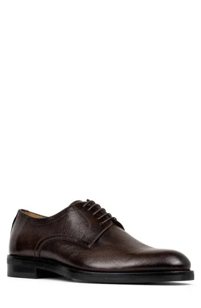 Donald Pliner Russell Derby In Dark Brown