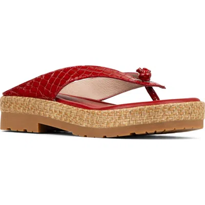 Donald Pliner Seena Fifi Platform Wedge Flip Flop In Tomato
