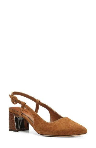 Donald Pliner Song Slingback Pointed Toe Pump In Brown