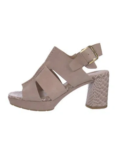 Pre-owned Donald Pliner Suede Animal Print Sandals In Neutrals