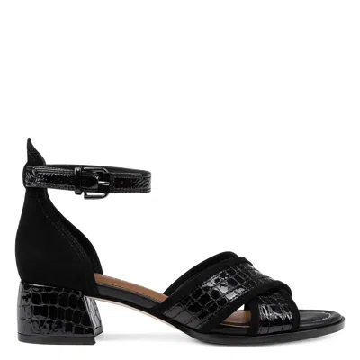 Donald Pliner Women Avai Black Casual