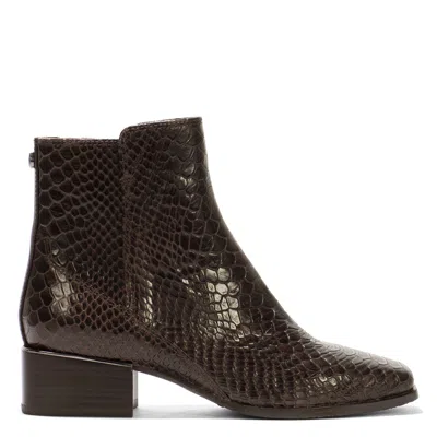 Donald Pliner Women Azia Dark Brown Snake Bootie