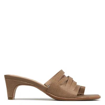 Donald Pliner Women Dayvi Tobacco Casual In Nude