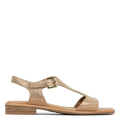 Donald Pliner Women Dria Camel Casual In Brown