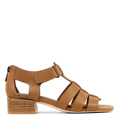 Donald Pliner Women Faleisha Saddle Casual In Brown