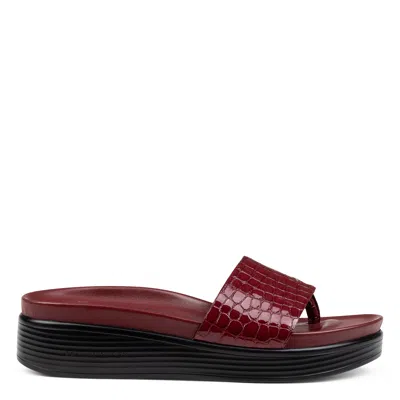Donald Pliner Women Fifi Cranberry Casual In Burgundy