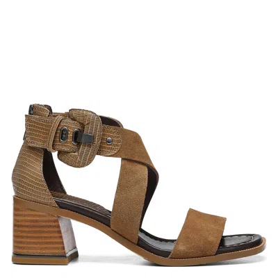 Donald Pliner Women Helen Biscotti Casual In Brown