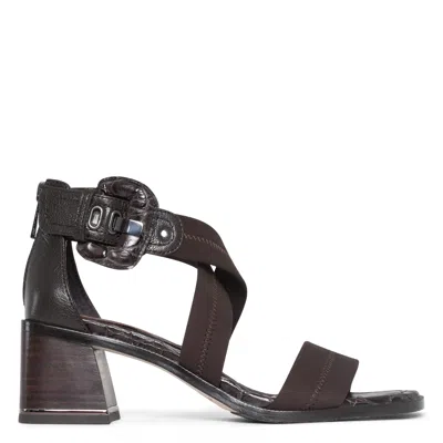 Donald Pliner Women Helen Dark Brown Casual In White