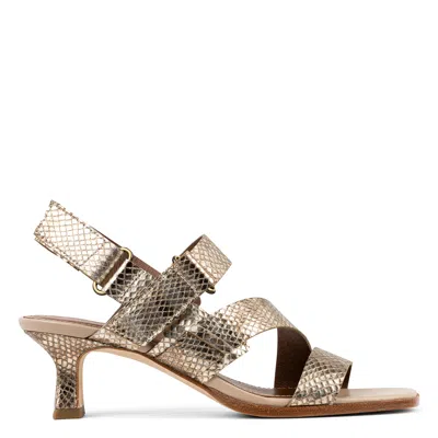 Donald Pliner Women Kamele Light Bronze Casual In Gold
