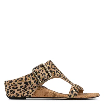 Donald Pliner Women Ofelia Leopard Studded Casual In Animal Print