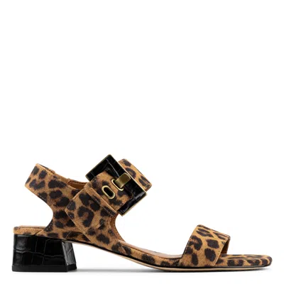 Donald Pliner Women Vixi Leopard Casual In Brown