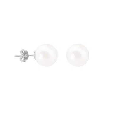 Donatello Gian Shell Pearl Studs Earrings