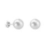 Donatello Gian Shell Pearl Studs Earrings In White
