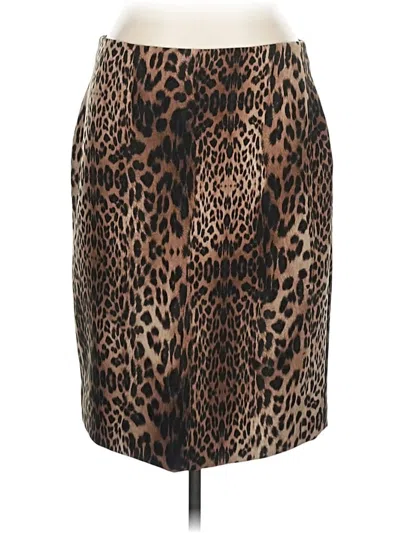 Pre-owned Doncaster Collection Casual Skirt In Brown