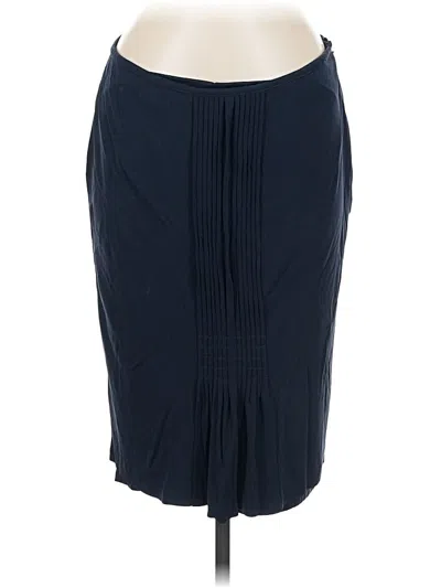 Pre-owned Doncaster Collection Formal Skirt In Blue