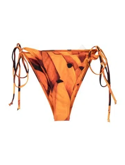 Pre-owned Donde Esteban Animal Print Bottoms In Orange