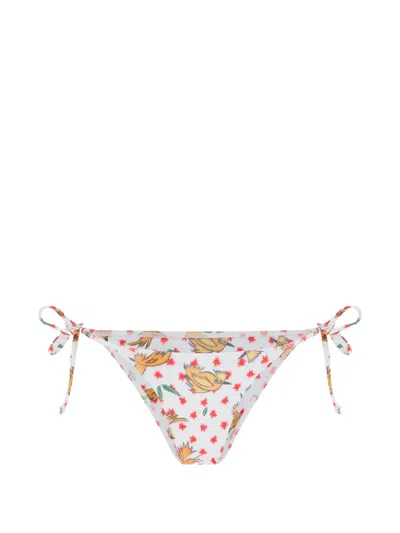 Donde Esteban Bird-print Side-tie Bikini Bottoms In Multi