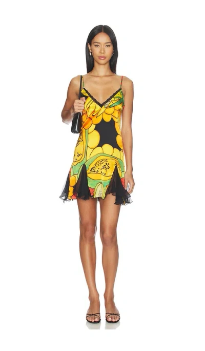 Donde Esteban Frutas Silk Satin Lace Mini Dress In Multi