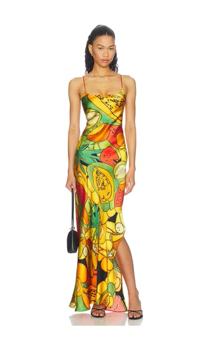 Donde Esteban Frutas Silk Satin Long Dress In Transparent