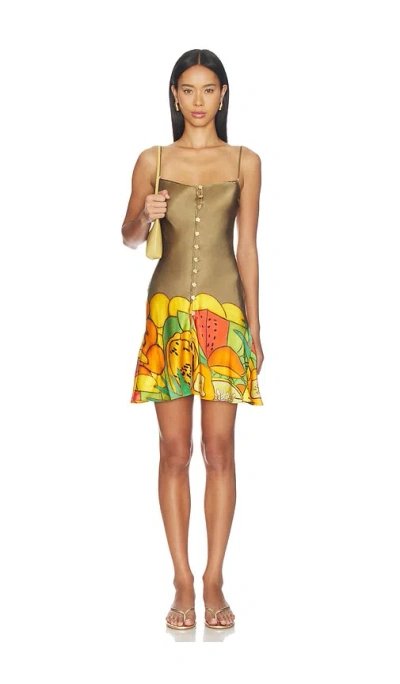 Donde Esteban Frutas Silk Satin Mini Dress In Gray