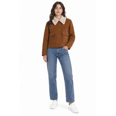 Dondup Coats In Brown