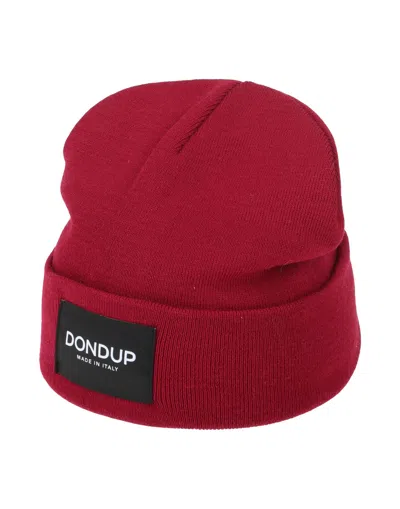 Dondup Hats In Maroon