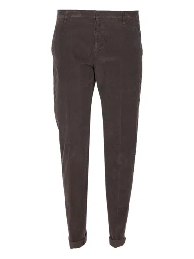 Dondup Jeans Brown In Blue