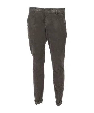 Dondup Pants In Brown