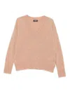 Dondup V-neck Sweater In Brown