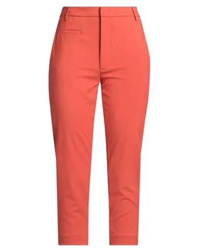 Dondup Woman Pants Orange Size 10 Wool, Elastane