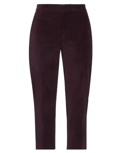 Dondup Woman Pants Plum Size 8 Cotton, Elastane