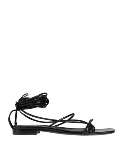 Dondup Woman Thong Sandal Black Size 8 Leather