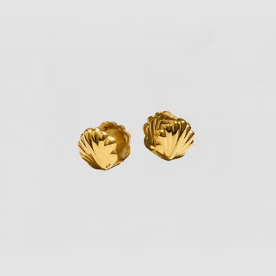 Dongguan Cool Jewelry Company Limited The Tiny Seashell Earrings