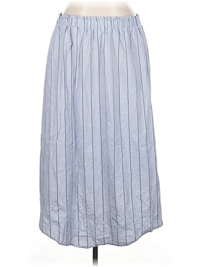 Pre-owned Donna Karan Casual Skirt In Blue