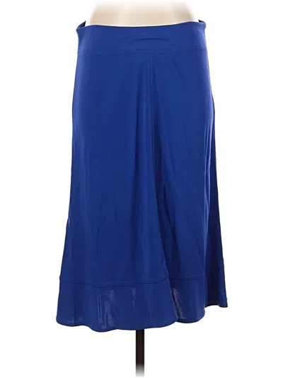 Pre-owned Donna Karan Casual Skirt In Blue