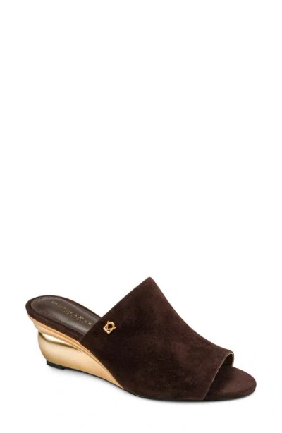 Donna Karan Donna Wedge Slide Sandal In Brown