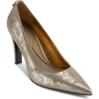 Donna Karan New York Donna Pointed Toe Pump In Cloud/silver