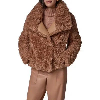 Donna Karan New York Faux Fur Teddy Jacket In Brown