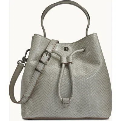 Donna Karan New York Lawrence Snake Bucket In Gray