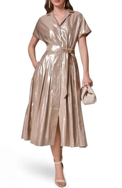 Donna Karan New York Metallic Belted Shirtdress In Brown