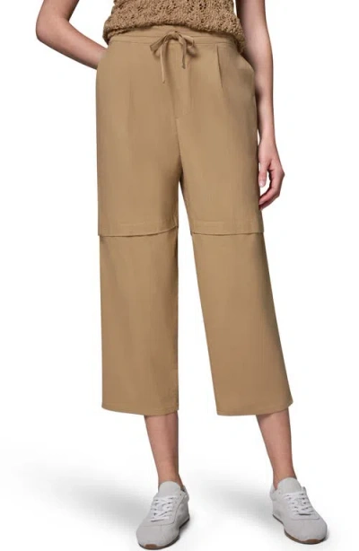 Donna Karan New York Paper Poplin Pants In Brown