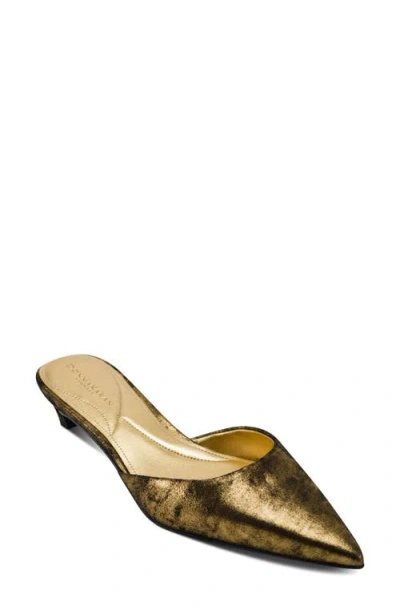Donna Karan New York Peccola Pointed Toe Kitten Heel Mule In Black/gold