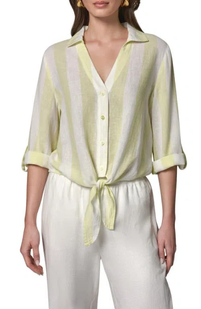Donna Karan New York Yarn Dye Stripe Crop Linen Blend Button-up Shirt In Green