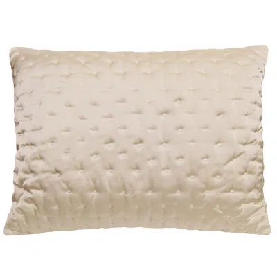 Donna Sharp Almond Blossom Quilted Euro Sham In Ivory